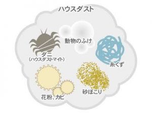 東京｜一人暮らし｜アレルギー対策